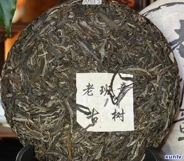 普洱茶越老越有钱吗？是真的吗？