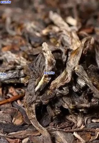 普洱茶陈化过程中的价格变化：为什么老茶更贵？