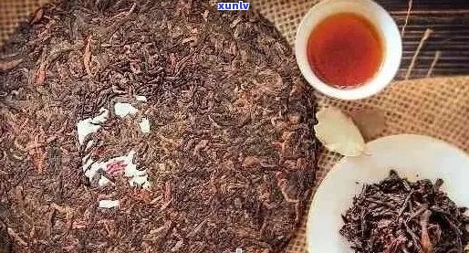 普洱茶陈年价值是否高于新茶？