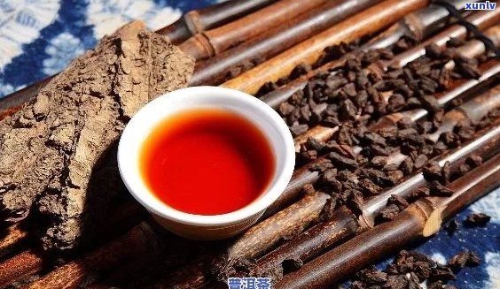 普洱茶价格为何高昂？值得购买吗？解析普洱茶的价值与品质