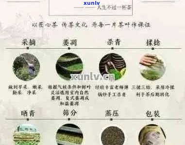 全面了解古法普洱茶价格：从茶叶品质、 *** 工艺到市场走势的全方位解析