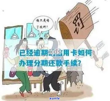 信用卡逾期能否办理分期手续：手续费减免与分期申请