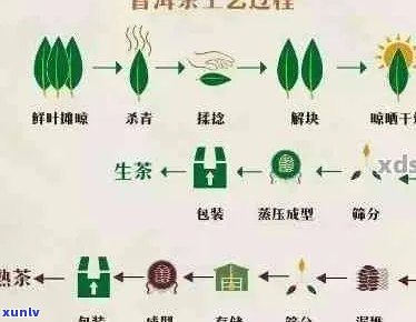 普洱茶的传统与现代 *** 工艺：古法精髓与创新技术的融合