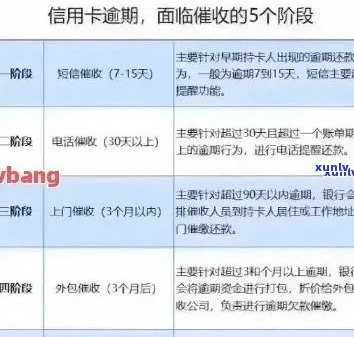 漳州市信用卡逾期管理与解决： *** 咨询、还款流程及影响分析