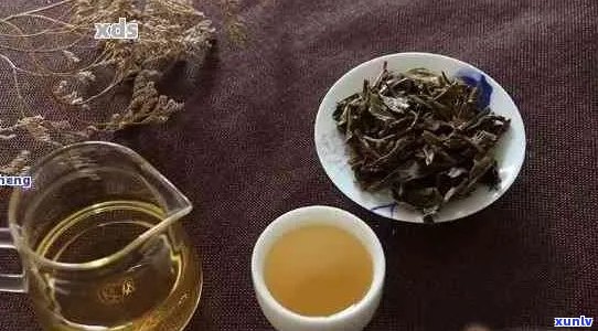 普洱茶的神奇效果：喝完后反而饿了？新奇现象揭秘！