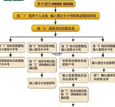 漳州市信用卡逾期管理与解决： *** 咨询、还款流程及影响分析