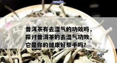 新 探索普洱茶的健益处：如何饮用以治疗湿气并促进健？