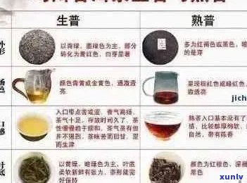 新 探索普洱茶的健益处：如何饮用以治疗湿气并促进健？