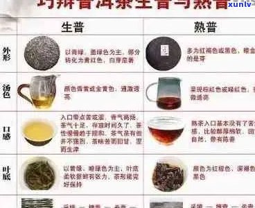 探究熟普洱茶的湿气去除功效及其对健的潜在影响