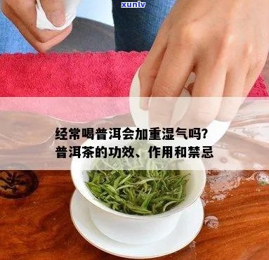 探究熟普洱茶的湿气去除功效及其对健的潜在影响