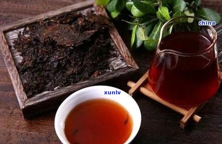 熟普洱茶可以除湿吗？如何泡和喝这种茶？