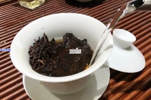 熟普洱茶可以除湿吗？如何泡和喝这种茶？