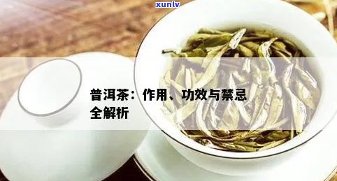 普洱茶不具有的功能