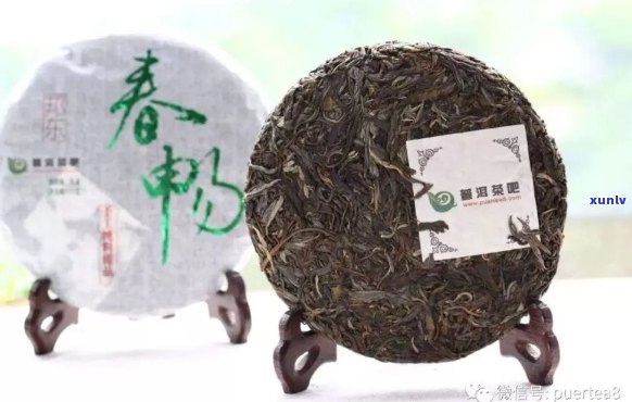 邦东普洱茶：价格解析与品鉴指南