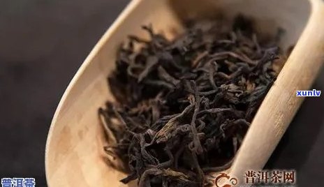 邦东普洱茶：价格解析与品鉴指南