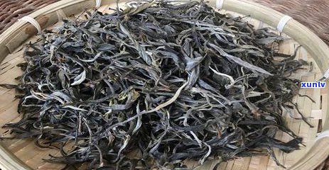 邦东普洱茶：特点、品鉴、泡法与功效全方位解析