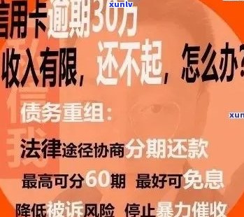 信用卡逾期未还款，账户余额查询困难怎么办？全面解决用户问题