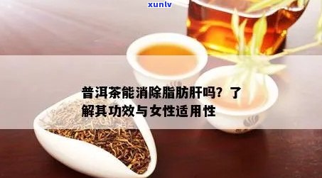 普洱茶对脂肪肝的消除作用：科学研究与健益处