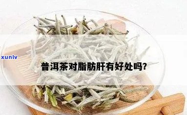 普洱茶：脂肪肝的救赎？科学研究与事实分析