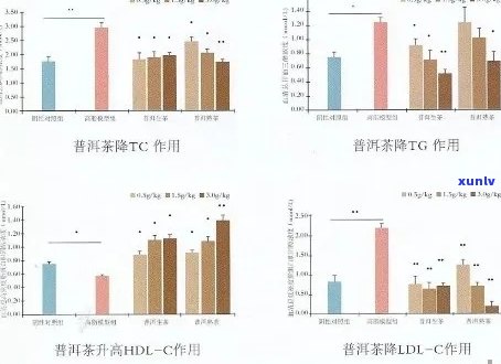 普洱茶：脂肪肝的救赎？科学研究与事实分析