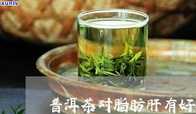 喝普洱茶消除脂肪肝