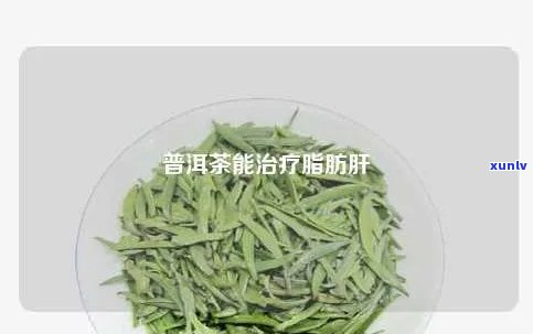 喝普洱茶消除脂肪肝