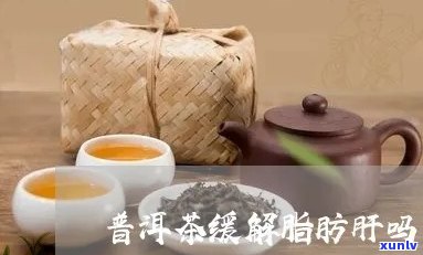 喝普洱茶消除脂肪肝