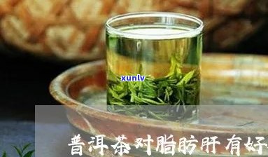 喝普洱茶消除脂肪肝