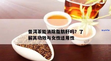 喝普洱茶可以缓解脂肪肝吗：女性喝普洱茶对脂肪肝有帮助吗？