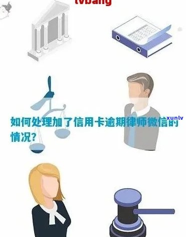 微信助力信用卡逾期管理：仲裁流程详解与实践经验分享