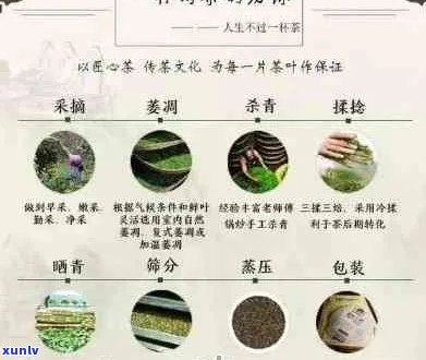 普洱茶价格实，是否适合女生饮用？如何选择和品鉴优质实的普洱茶？