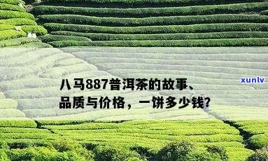 八马普洱茶饼价格表及品质解析：详细了解八马的普洱茶饼价格和口感评价。