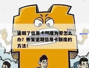 信用卡逾期金额0元怎么办？如何处理零透支情况？