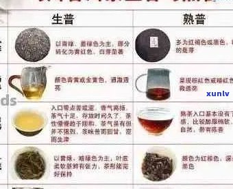 新 煮雪斋普洱茶的口感、品质及其是否值得购买的全面评价