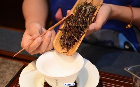 云南普洱茶：哪里的品质更优良？