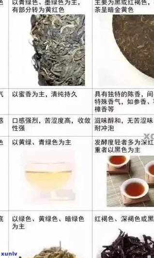 普洱茶新品上市：品种、品质、冲泡 *** 等全方位解析，让您轻松了解与选购