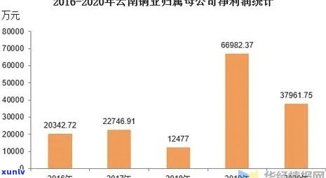 揭秘：寻找普洱茶股票代码，投资新手必看！