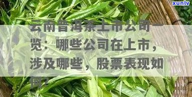 普洱茶打新股怎么样