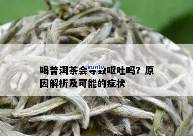 喝了一口普洱茶呕吐怎么办：缓解与应对 *** 