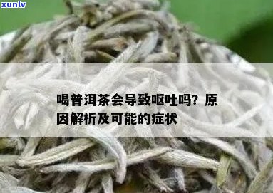 喝了一口普洱茶呕吐