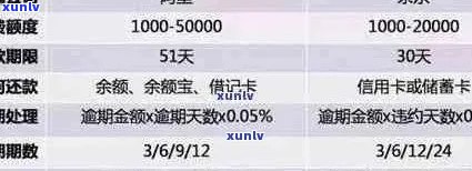 信用卡逾期债务怎么解决：欠款处理策略与影响分析