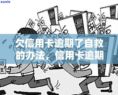 信用卡逾期还款攻略：如何有效自救并避免进一步信用损害