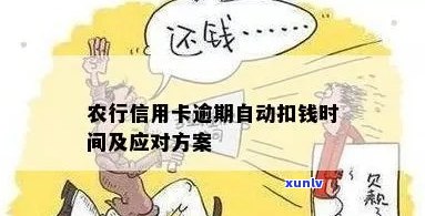 农行信用卡逾期自动扣款时间全面解析：如何避免逾期、扣款时间及注意事项