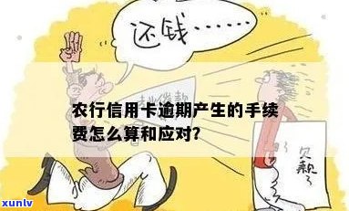 农行信用卡逾期后，自动扣款方式仅针对利息而非本金？了解详细情况