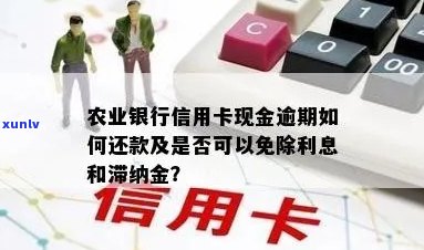 农行信用卡逾期后，自动扣款方式仅针对利息而非本金？了解详细情况