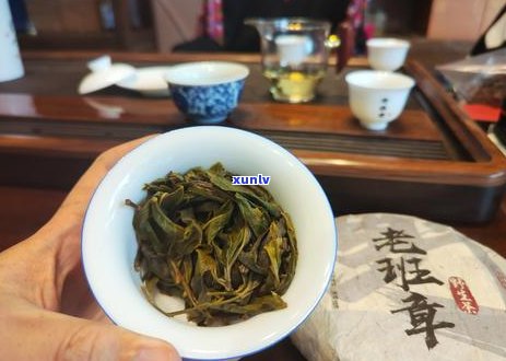 '如何在众多普洱茶中挑选出好坏？'