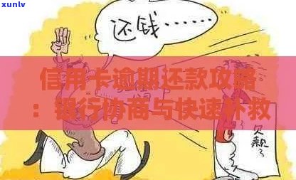 信用卡逾期导致工资卡冻结，如何协商还款并保障个人信用？