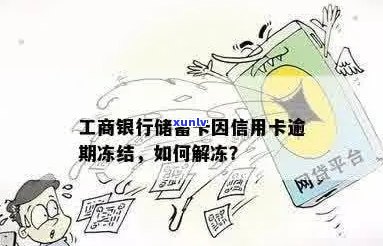 工资卡因信用卡逾期被冻结，是否可以重新办理一张新卡解决问题？