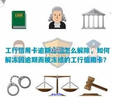 工资卡因信用卡逾期被冻结，是否可以重新办理一张新卡解决问题？