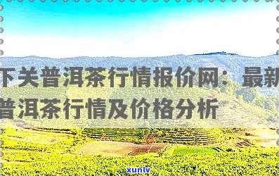 下关普洱茶价格走势分析-专业行情报价网站